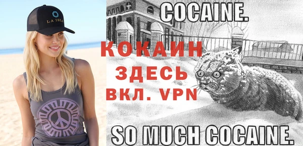Альфа ПВП Алексин