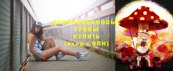 соль ск Алзамай
