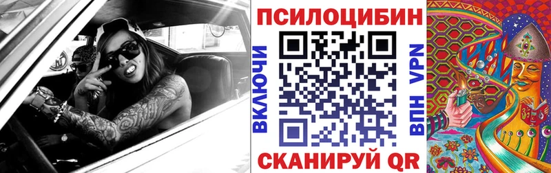 купить наркоту  Тотьма  Псилоцибиновые грибы мицелий 