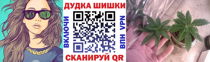 где продают   Тотьма  площадка наркотические препараты  Шишки марихуана план 